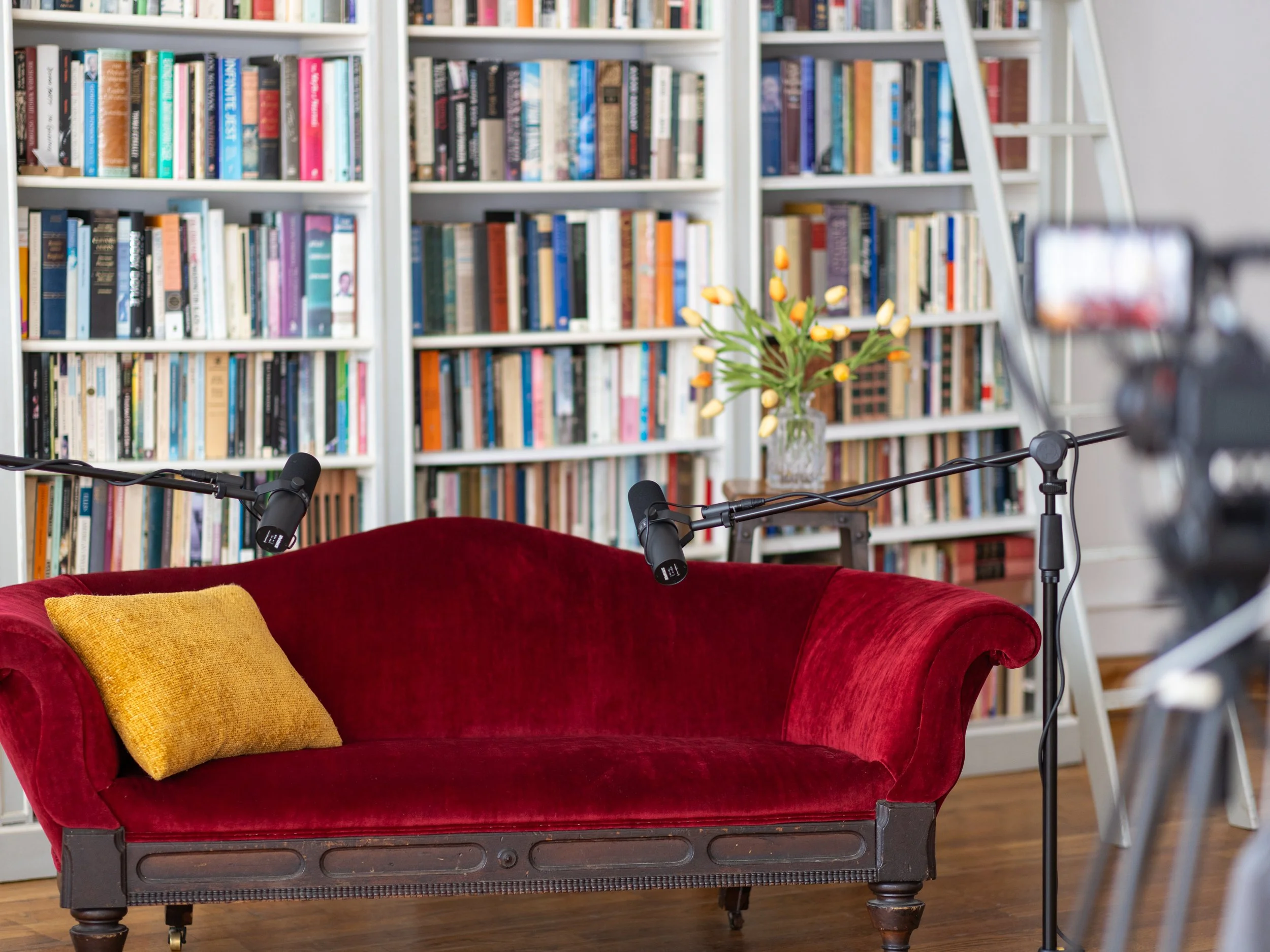 A red velvet vintage sofa with a yellow pillow, set in front of a white bookshelf filled with books, with a potted tulip plant on a side table, and filming equipment present.